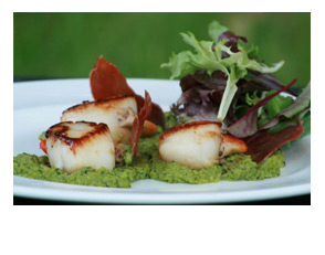 Seared Lyme Bay scallops with pea and mint pure and oven-dried Prosciutto